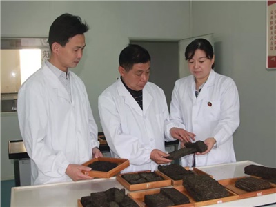 傳承茯茶非遺技藝、開拓創(chuàng)新引領(lǐng)行業(yè)發(fā)展