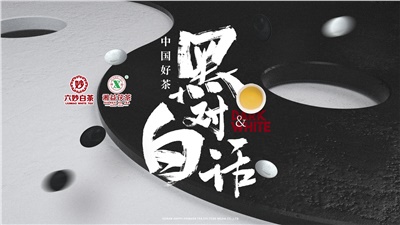 首屆黑白對(duì)話高峰論壇圓滿落幕！湘益茯茶備受關(guān)注！