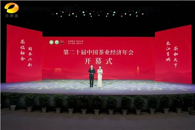 【聚焦第二十屆中國茶業(yè)經(jīng)濟(jì)年會】益陽茶廠榮獲“民族團(tuán)結(jié)互助企業(yè)”、“2024年度茶業(yè)重點(diǎn)企業(yè)”榮譽(yù)稱號